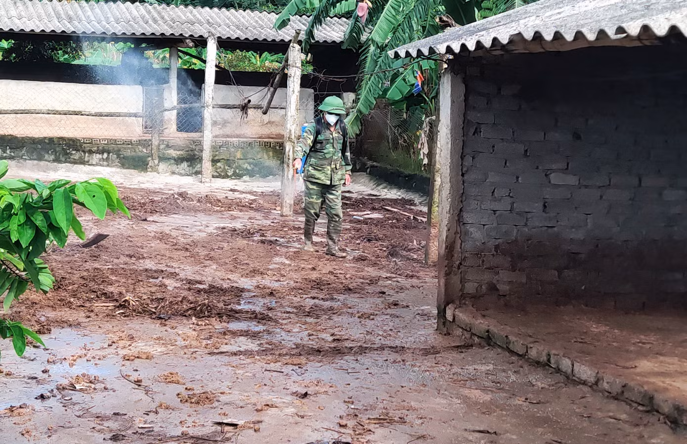 Cơ quan chức năng phun khử trùng khu vực có dịch tả lợn Châu Phi.