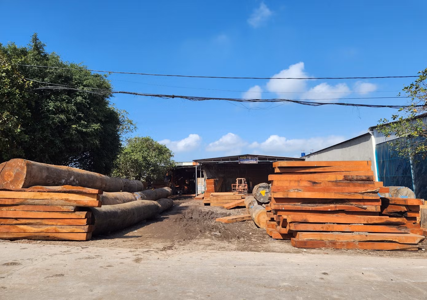 Ông Trần Đình Trọng - Chủ tịch UBND xã Quỳnh Hưng cho biết, trước đây toàn xã có hơn 300 hộ gia đình sản xuất đồ mộc nhưng hiện nay chỉ còn hơn 100 hộ bám trụ lại với nghề. Nghề mộc đem lại nguồn thu lớn cho người dân địa phương. Trung bình mỗi năm doanh thu từ nghề mộc đạt trên 200 tỉ đồng, tạo ra hàng trăm việc làm tại chỗ. Tuy nhiên, năm nay doanh thu giảm nhiều do hàng sản xuất ra không bán được. Ông Trần Đình Trọng - Chủ tịch UBND xã Quỳnh Hưng cho biết, trước đây toàn xã có hơn 300 hộ gia đình sản xuất đồ mộc nhưng hiện nay chỉ còn hơn 100 hộ bám trụ lại với nghề. Nghề mộc đem lại nguồn thu lớn cho người dân địa phương. Trung bình mỗi năm doanh thu từ nghề mộc đạt trên 200 tỉ đồng, tạo ra hàng trăm việc làm tại chỗ. Tuy nhiên, năm nay doanh thu giảm nhiều do hàng sản xuất ra không bán được.