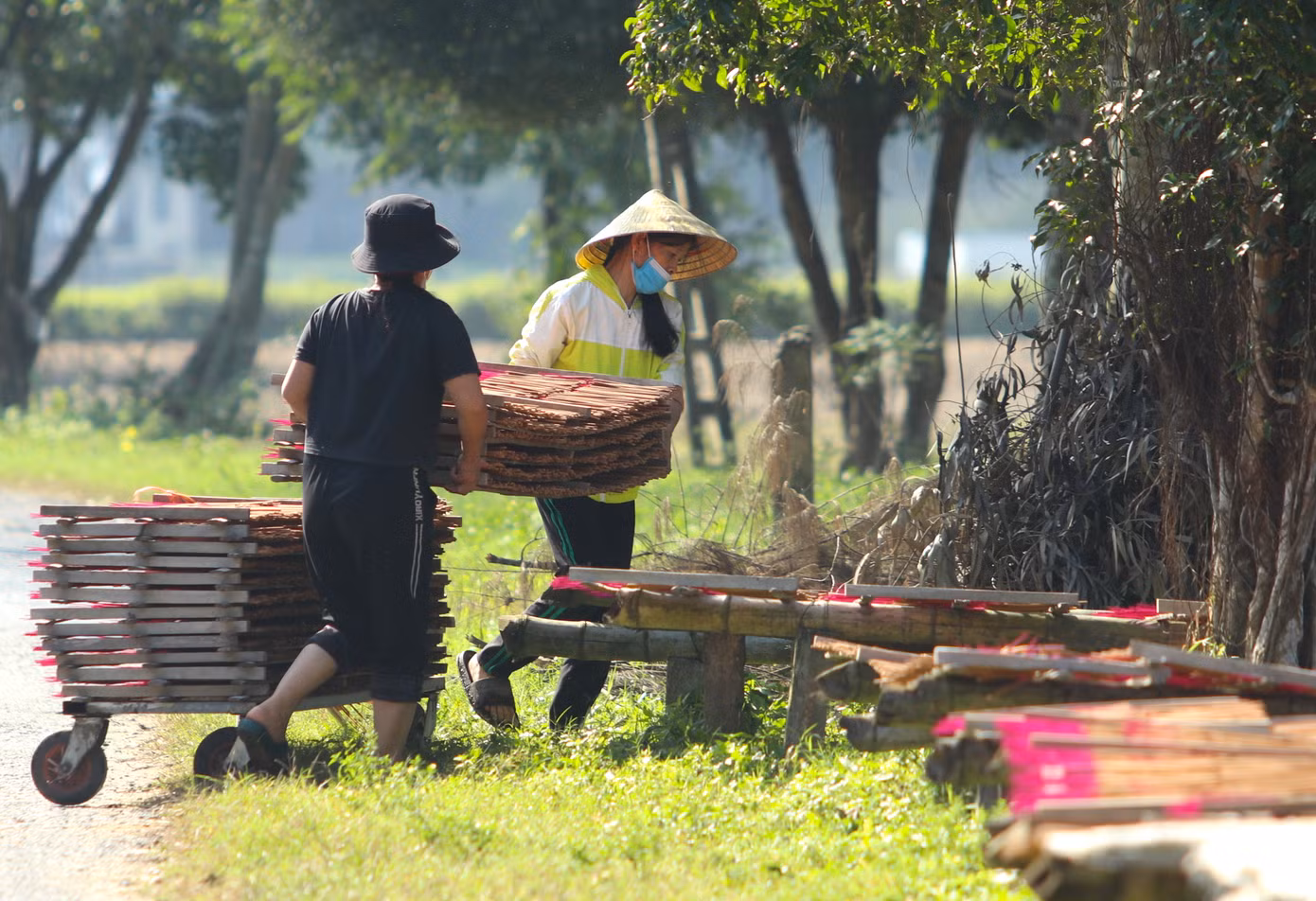 Hương sau khi làm xong sẽ được rải ra khay và đem phơi dưới ánh nắng mặt trời.