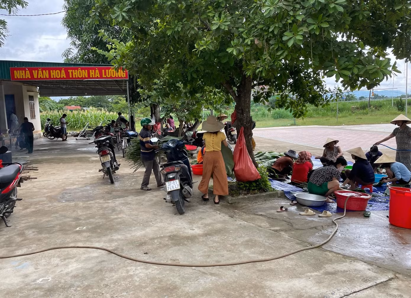 Khoảnh sân trước nhà văn hóa thôn Hà Lương (xã Võ Liệt, Thanh Chương, Nghệ An) trở thành nơi gói bánh chưng ủng hộ người dân vùng lũ lụt.