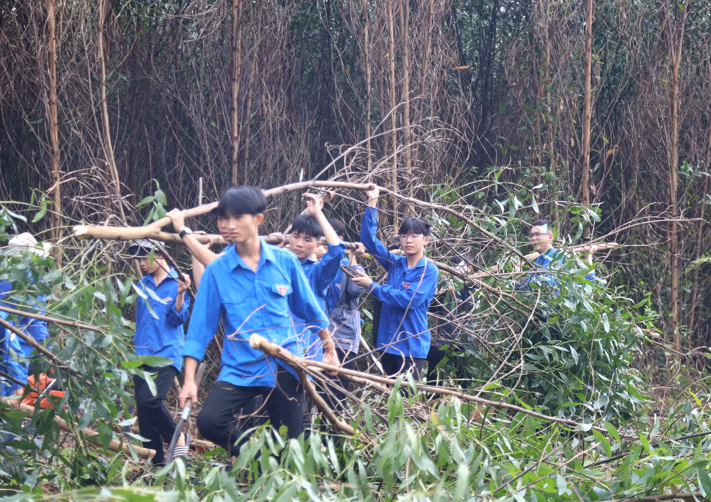 Trong 30 ngày triển khai đợt thi đua cao điểm, các đội hình thanh niên tình nguyện toàn tỉnh Nghệ An đã hỗ trợ tháo dỡ 24 ngôi nhà trong khu vực ảnh hưởng; tháo dỡ 44 chuồng trại và vật kiến trúc; tham gia giải tỏa, phát quang, chặt hạ hơn 26 hecta, gần 9.000 cây các loại ảnh hưởng đến hành lang tuyến đường dây 500kV đi qua để bàn giao mặt bằng cho đơn vị thi công công trình.