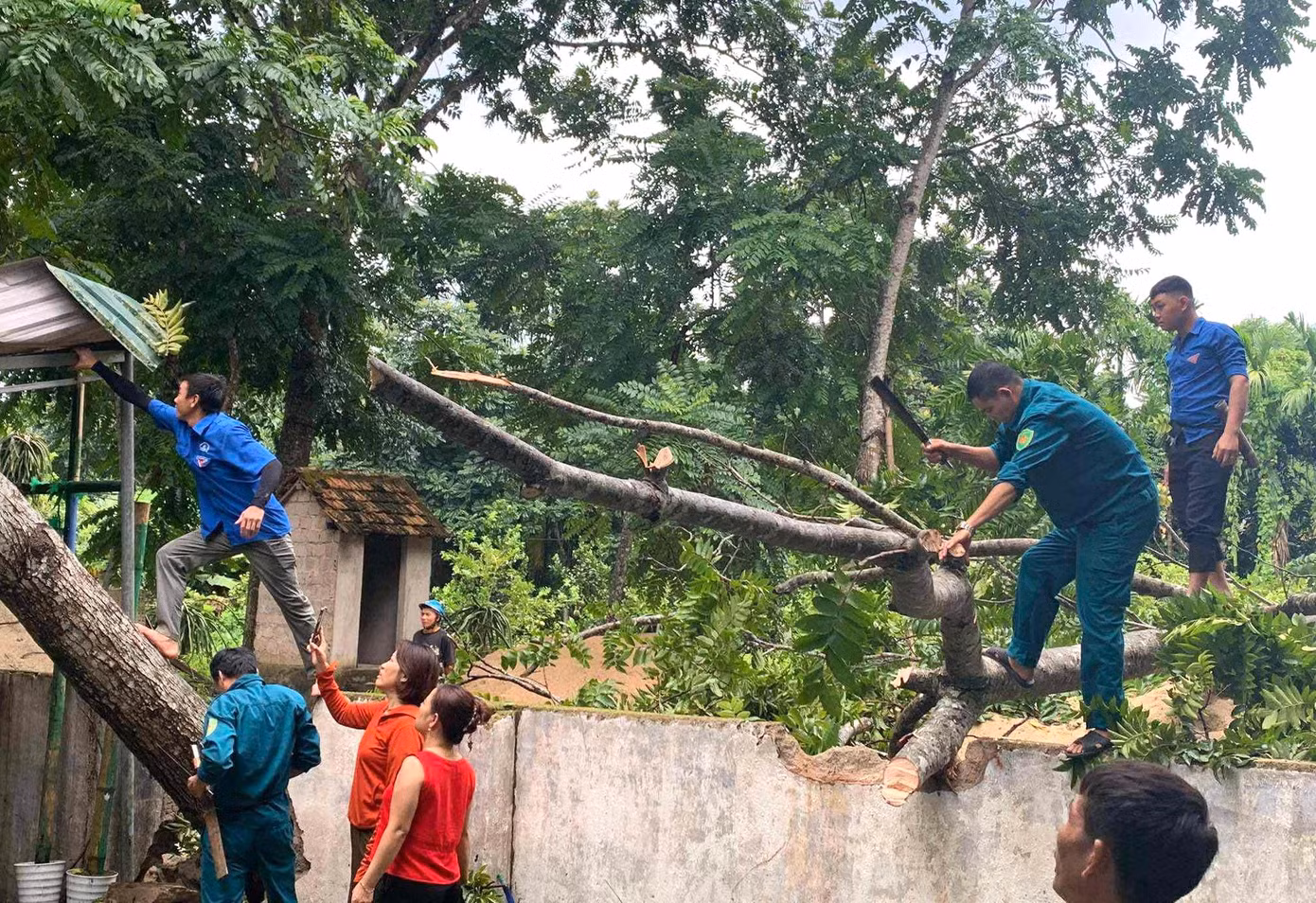 Tại huyện Quế Phong (Nghệ An), các đoàn viên thanh niên huyện đến dọn dẹp các cây xanh bị gãy đổ trên các tuyến đường, công sở ở thị trấn Kim Sơn và xã Tiền Phong (huyện Quế Phong). Tại huyện Quế Phong (Nghệ An), các đoàn viên thanh niên huyện đến dọn dẹp các cây xanh bị gãy đổ trên các tuyến đường, công sở ở thị trấn Kim Sơn và xã Tiền Phong (huyện Quế Phong).