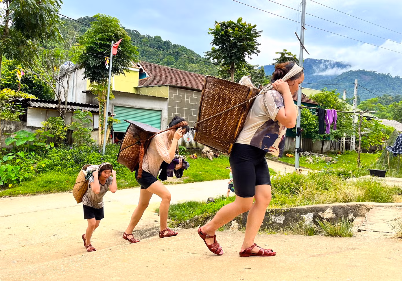 Vào tháng 8, tháng 9, phụ nữ xã Hạnh Dịch (huyện Quế Phong, Nghệ An) lại đều đặn sáng vào rừng, trưa hoặc chiều gùi những bì măng ra bán. Đây là thành quả cả ngày làm việc mệt nhọc trong rừng.