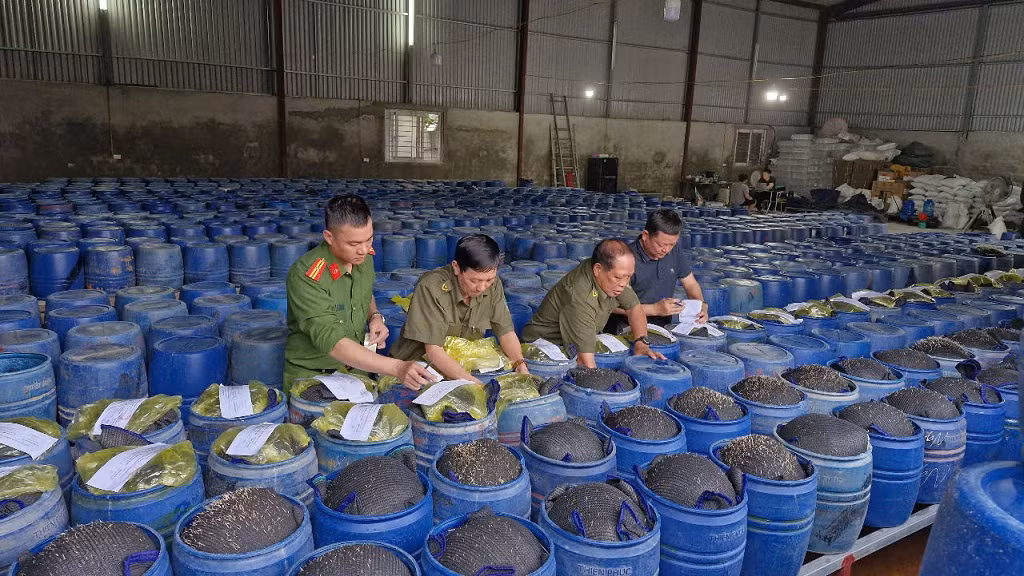 Trong đó, phường Vinh Tân có 2 cơ sở sản xuất giá đỗ bị công an triệt phá gồm cơ sở tại ngõ 123, đường Phạm Hồng Thái (khối Yên Giang) và cơ sở tại khối 2, phường Vinh Tân (TP. Vinh). Cả 2 cơ sở do Nguyễn Văn Hướng (SN 1998) làm chủ.