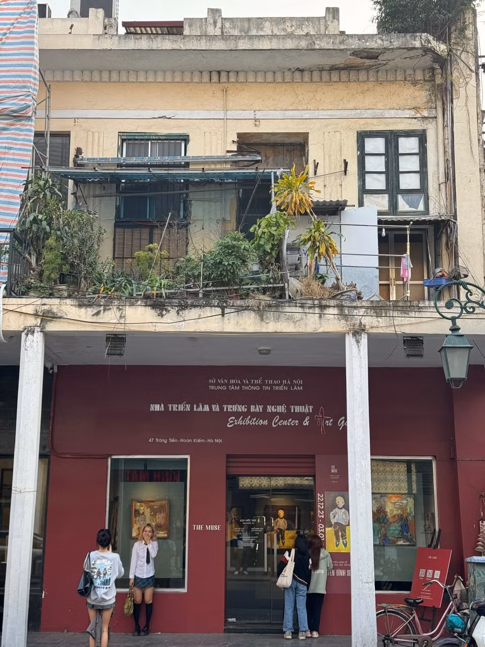 Cây cảnh, mái tôn nhếch nhác tạm bợ trên tuyến phố "đắt đỏ" bậc nhất Hà Nội. Ảnh chụp năm 2023.