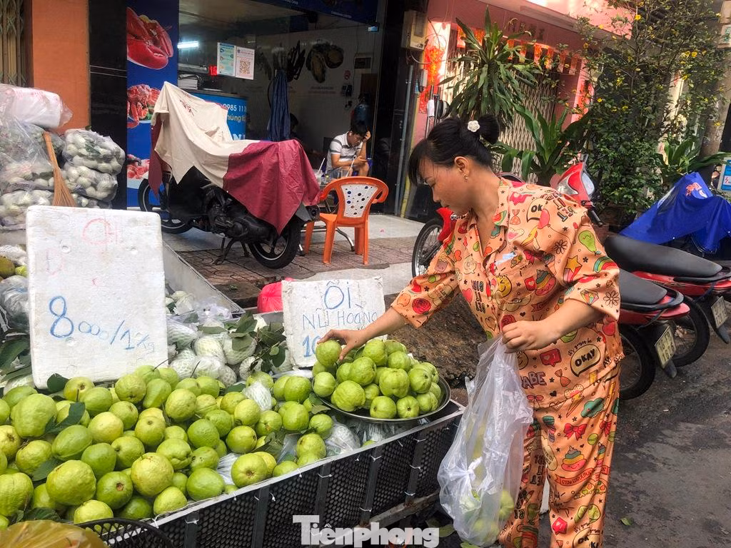 Ổi là một trong những loại trái cây có giá rẻ nhất, từ 8.000-10.000 đồng/kg Ổi là một trong những loại trái cây có giá rẻ nhất, từ 8.000-10.000 đồng/kg