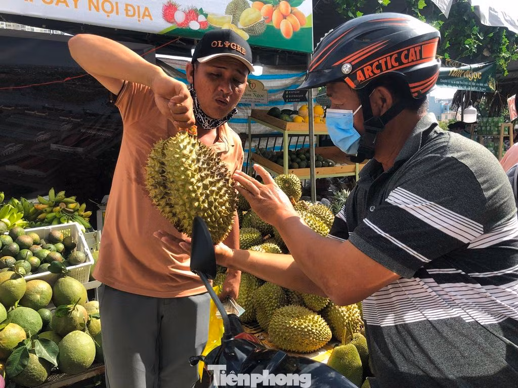 Trong khi đó, sầu riêng cũng rớt giá, chỉ tầm 50.000 đồng/kg. Trong khi đó, sầu riêng cũng rớt giá, chỉ tầm 50.000 đồng/kg.