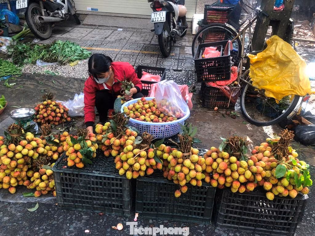 Theo ghi nhận, quả vải được bày bán tại nhiều chợ ở TPHCM đều có cuống lá rất tươi, quả mọng nước, khá ngọt. Nhiều khách hàng tại TPHCM tranh thủ quả vải rẻ mua về thưởng thức. Theo ghi nhận, quả vải được bày bán tại nhiều chợ ở TPHCM đều có cuống lá rất tươi, quả mọng nước, khá ngọt. Nhiều khách hàng tại TPHCM tranh thủ quả vải rẻ mua về thưởng thức.