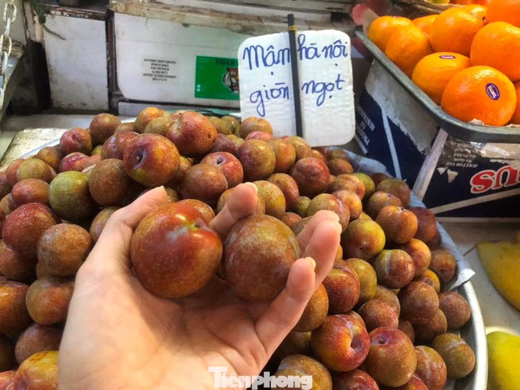 Mận Hà Nội trái to, vị chua ngọt đậm đà hút khách Sài Gòn. Mận Hà Nội trái to, vị chua ngọt đậm đà hút khách Sài Gòn.
