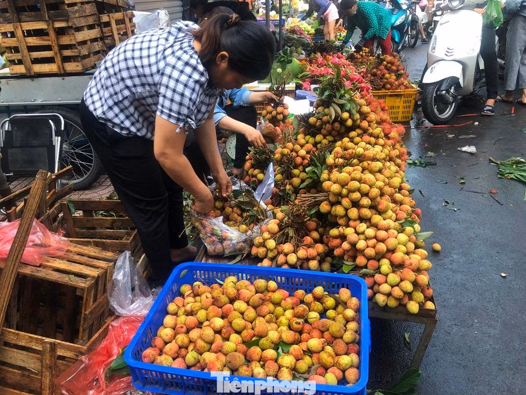 Trong khi đó, các loại vải rụng (để qua ngày) có giá rẻ hơn, từ 35.000-40.000 đồng/kg (tùy nơi bán. "Mua quả vải có cuống, bó thành chùm để cúng bàn thờ, còn nếu ăn thì mua vải rụng, giá vừa rẻ lại lợi ký hơn" - chị Thu Hương (ngụ quận 4) cho biết. Trong khi đó, các loại vải rụng (để qua ngày) có giá rẻ hơn, từ 35.000-40.000 đồng/kg (tùy nơi bán. "Mua quả vải có cuống, bó thành chùm để cúng bàn thờ, còn nếu ăn thì mua vải rụng, giá vừa rẻ lại lợi ký hơn" - chị Thu Hương (ngụ quận 4) cho biết.