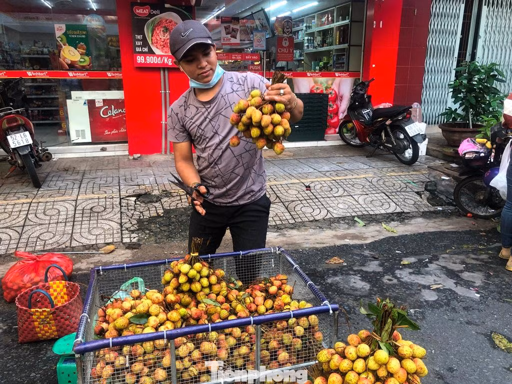 Theo người này, chưa bao giờ trái cây mới vào mùa lại có giá rẻ, chỉ 50.000 đồng/kg như lúc này. "Cùng kỳ năm ngoái, dù trong giai đoạn dịch bệnh, việc đi lại, vận chuyển khó khăn nhưng quả vải vẫn có mức giá cao hơn". Theo nhiều đầu mối cung cấp hàng, do gặp khó khăn khi xuất khẩu nên quả vải rớt giá. Theo người này, chưa bao giờ trái cây mới vào mùa lại có giá rẻ, chỉ 50.000 đồng/kg như lúc này. "Cùng kỳ năm ngoái, dù trong giai đoạn dịch bệnh, việc đi lại, vận chuyển khó khăn nhưng quả vải vẫn có mức giá cao hơn". Theo nhiều đầu mối cung cấp hàng, do gặp khó khăn khi xuất khẩu nên quả vải rớt giá.