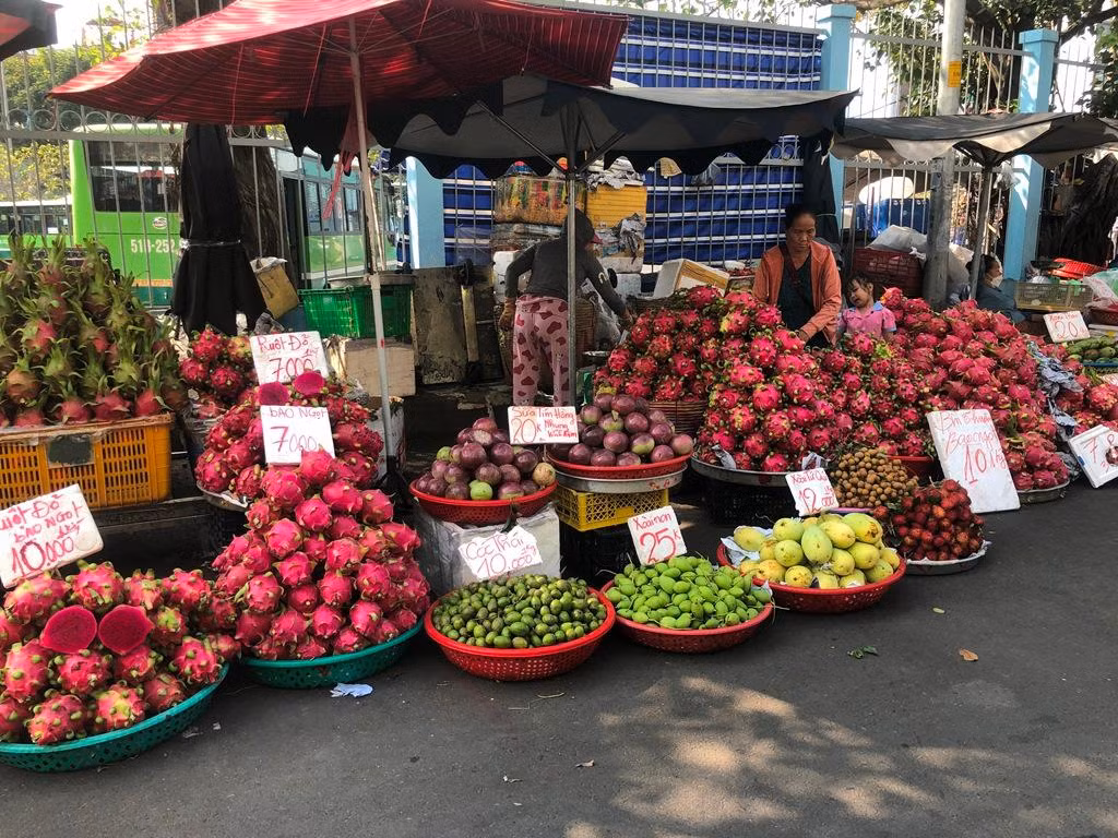 Mặt hàng thanh long là loại trái cây xuất hiện nhiều nhất tại các quầy hàng và cũng có giá rẻ nhất