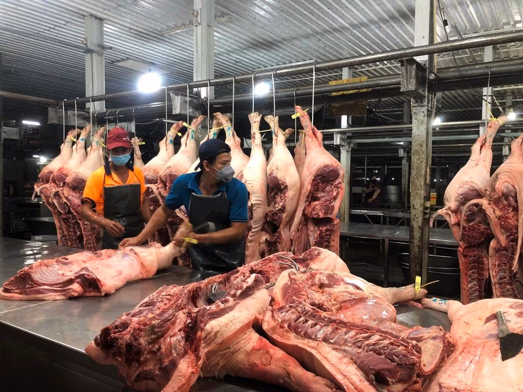 Heo về chợ đầu mối Bình Điền giảm hơn cùng kỳ các năm