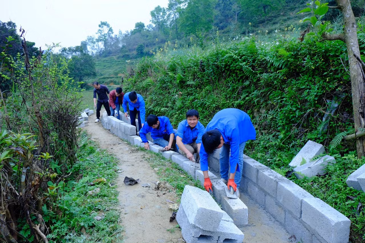 Xây dựng hệ thống thủy lợi.