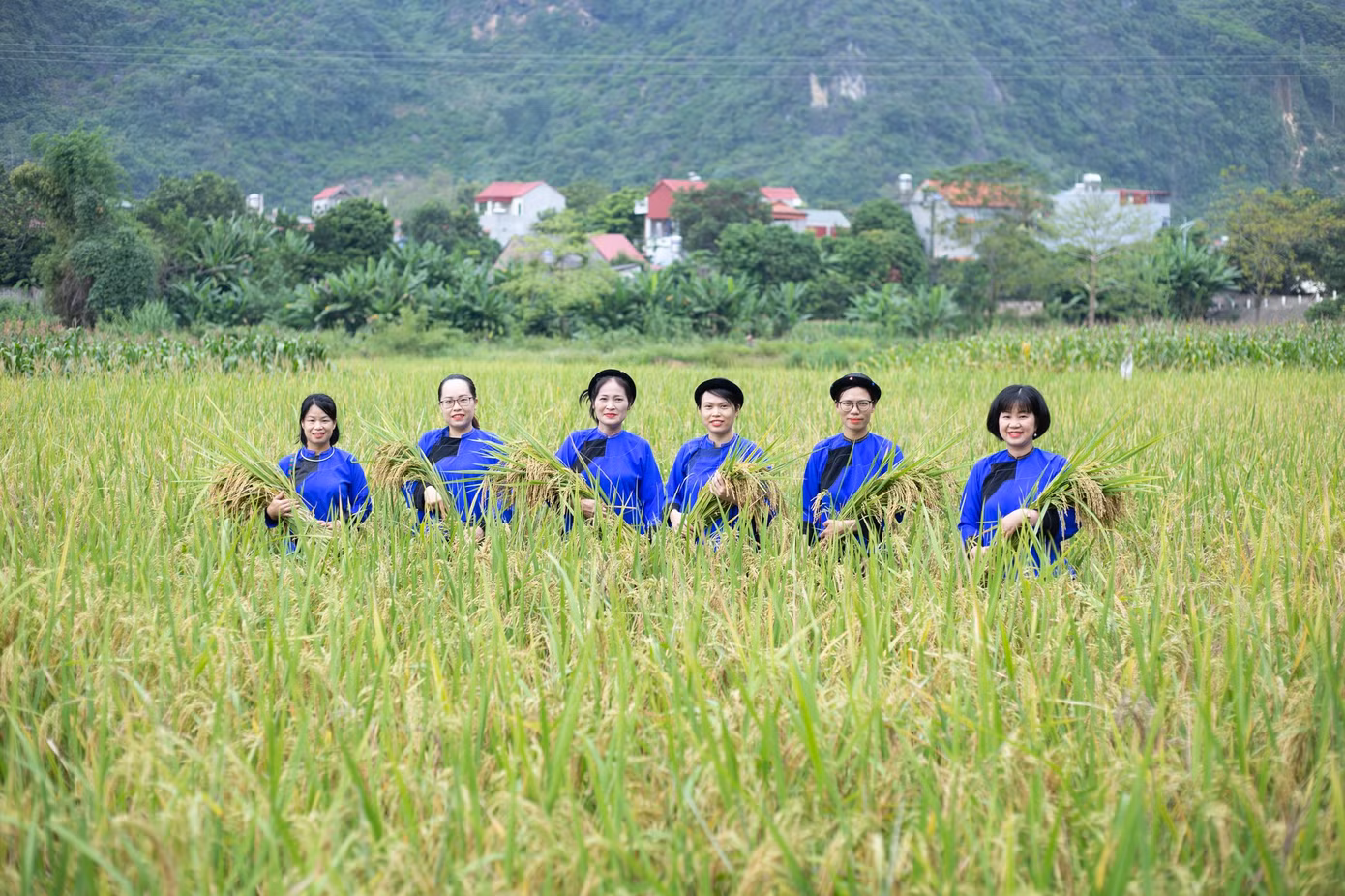 Vẻ đẹp cuộc sống hàng ngày.