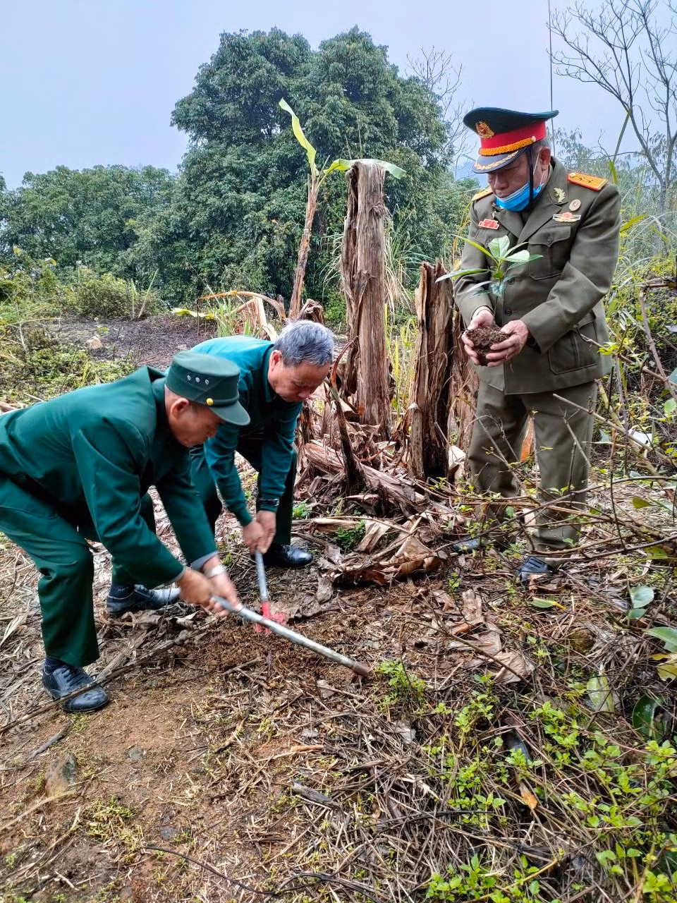 Các cựu chiến binh từng chiến đấu ở mặt trận Lạng Sơn năm 1979 trồng cây ở pháo đài Đồng Đăng, trưa 17/2/2022. Ảnh: Duy Chiến