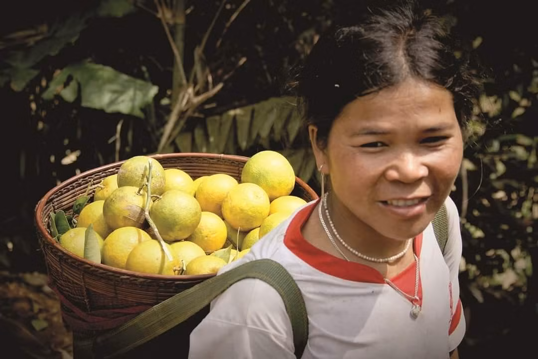 Nụ cười tươi với mùa cam bội thu.