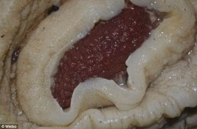 Tuy nhiên, đây hoàn toàn là xác 