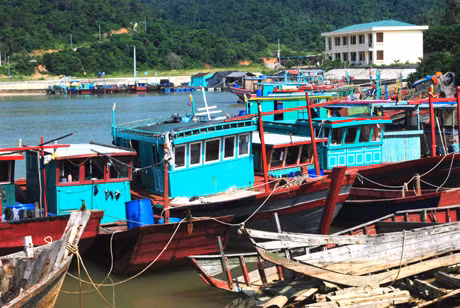 Tàu thuyền trên địa bàn xã Thanh Lân đã vào nơi tránh trú bão an toàn. Ảnh: Báo Quảng Ninh