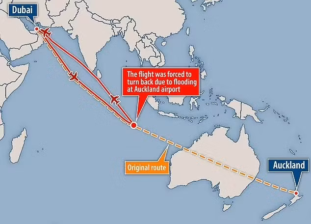 Máy bay quay đầu khi đã đi được nửa đường. Đồ họa: Daily Mail