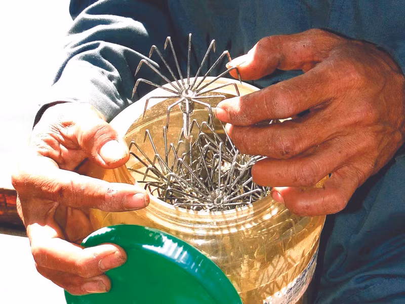 Lưỡi câu mực khơi