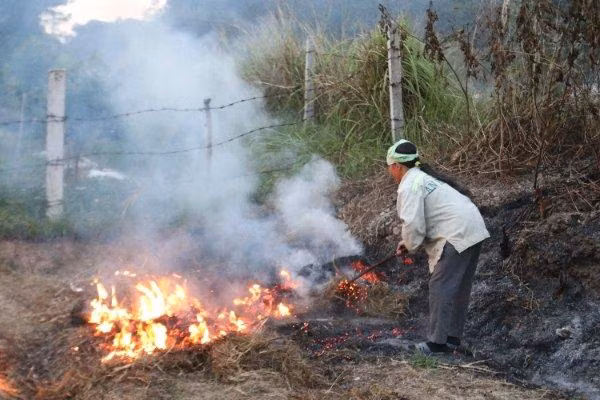 Bà T.T.M (55 tuổi, xã Phù Lỗ, Sóc Sơn) cho biết, cứ mùa này, những người già và trẻ con trong xã thường ho, và phát ốm khi liên tục hít phải khói thải. “Người dân cũng thường xuyên phản ánh về việc nhiều hộ gia đình đốt rơm rạ tùy tiện, ảnh hưởng đến môi trường chung nhưng sau vẫn đâu vào đấy”, bà M nói.