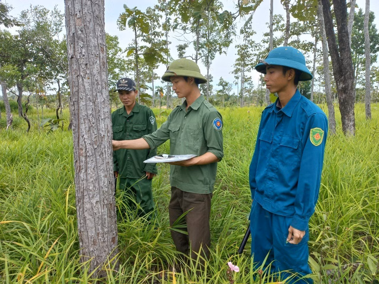 Rất nhiều nhân viên bảo vệ rừng ở Gia Lai xin nghỉ việc Rất nhiều nhân viên bảo vệ rừng ở Gia Lai xin nghỉ việc