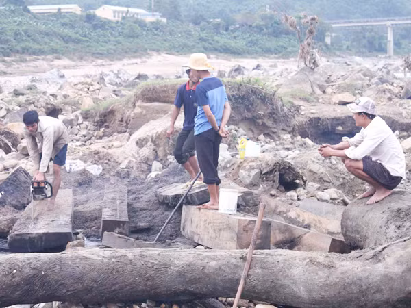 Vớt gỗ và đãi vàng trên dòng sông đã chết. Ảnh: Nguyễn Thành