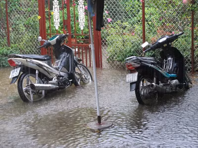 Mưa làm cho nhiều sân nhà thành vũng nước