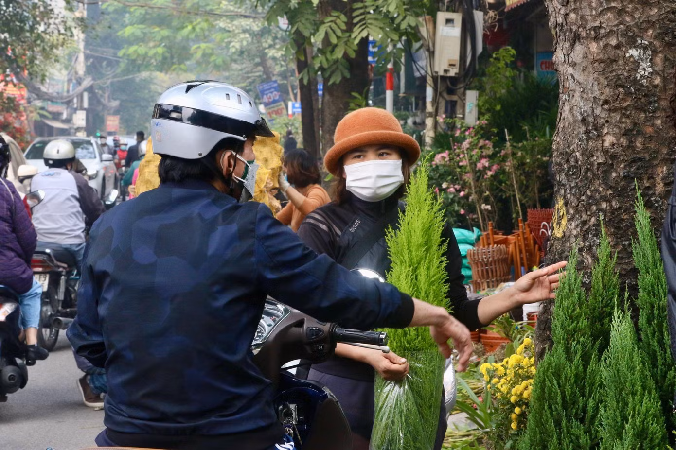 Khách hàng thoải mái lựa chọn các mẫu cây yêu thích tại trục đường Hoàng Hoa Thám, Bưởi...