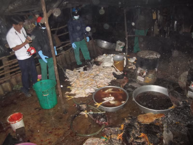 Điểm giết mổ gia cầm trái phép của chủ cơ sở Nguyễn Thị Thúy ở ấp 6 xã Vĩnh Lộc An, Bình Chánh bị phát hiện Ảnh: L.N