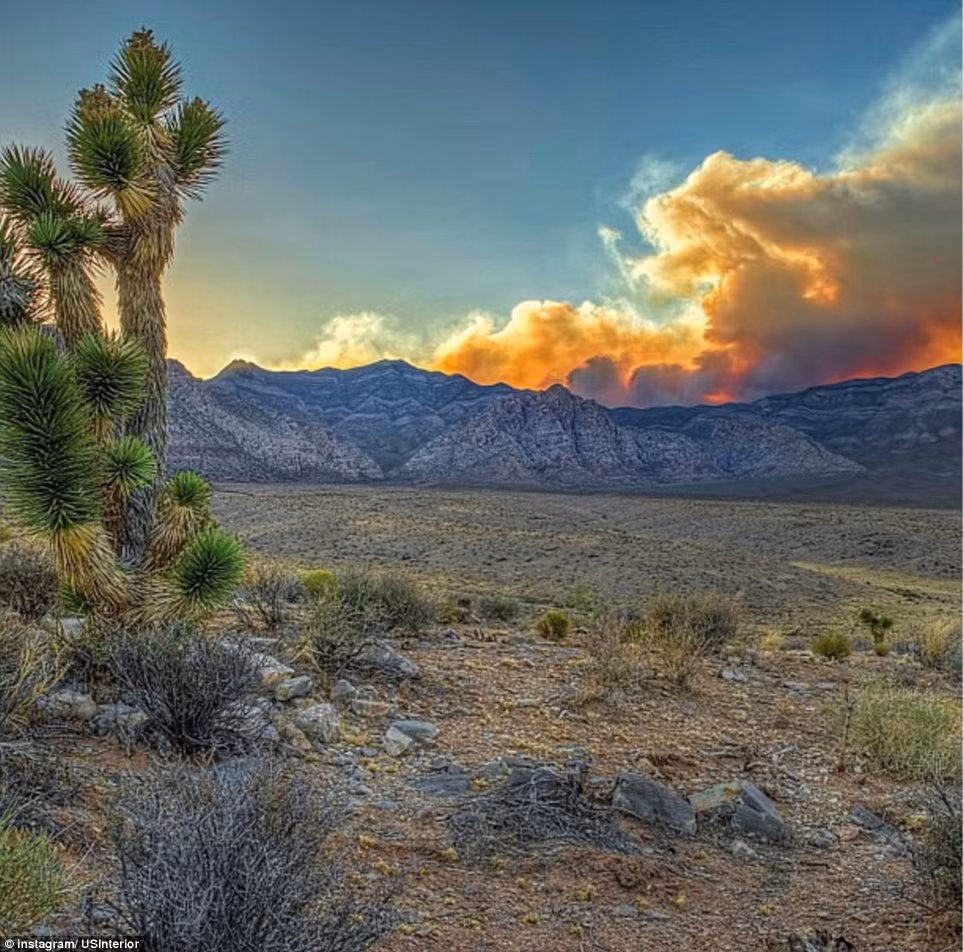 Khu bảo tồn quốc gia Red Rock (Nevada, Hoa Kỳ)