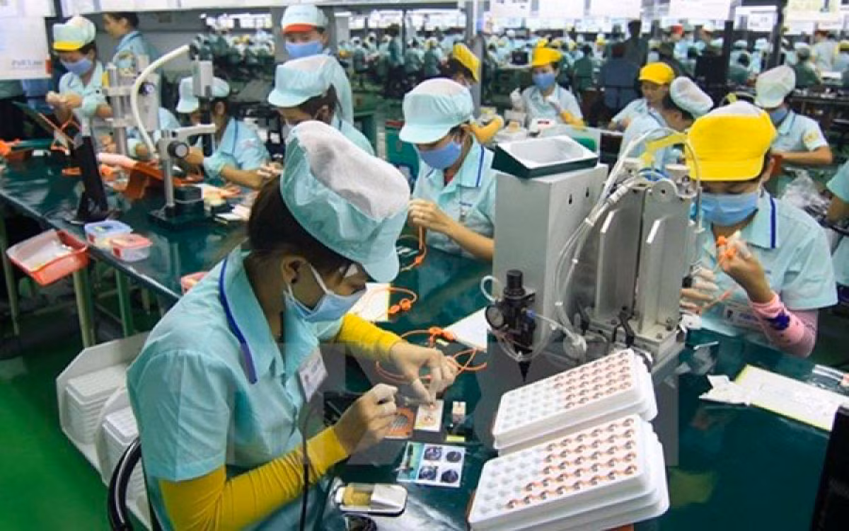 Người lao động có trình độ cao ít bị ảnh hưởng bởi dịch COVID-19 ảnh 2