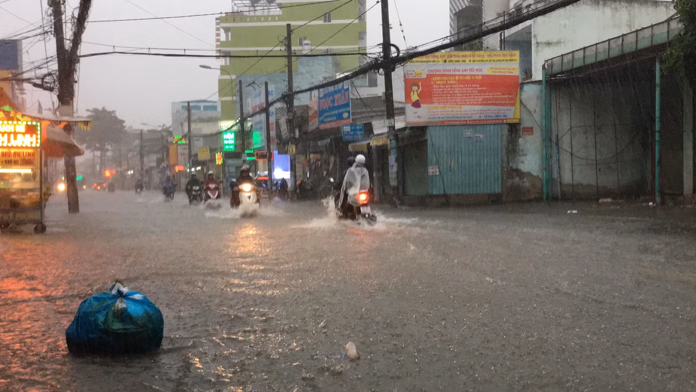 Sài Gòn mưa ngập nhiều nơi, cây đổ đè chết người ảnh 9