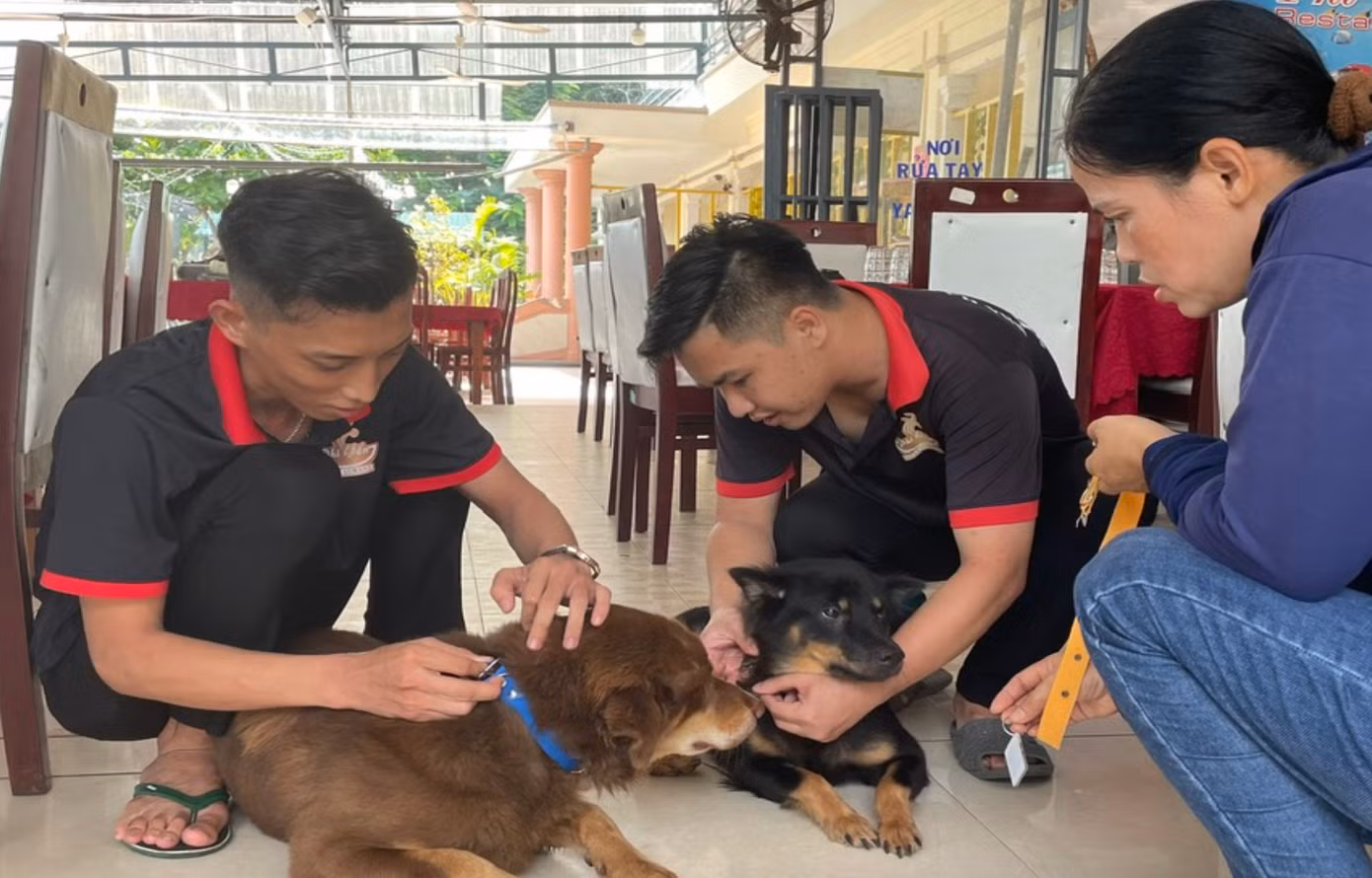Gắn thẻ đeo mã QR cho chó tại Côn Đảo (Ảnh Cổng TTĐT Côn Đảo) Gắn thẻ đeo mã QR cho chó tại Côn Đảo (Ảnh Cổng TTĐT Côn Đảo)