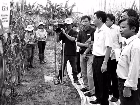 Bộ trưởng Bộ NN&PTNT Cao Đức Phát kiểm tra khu khảo nghiệm ngô BĐG tại Hưng Yên. Ảnh: Đinh Huệ