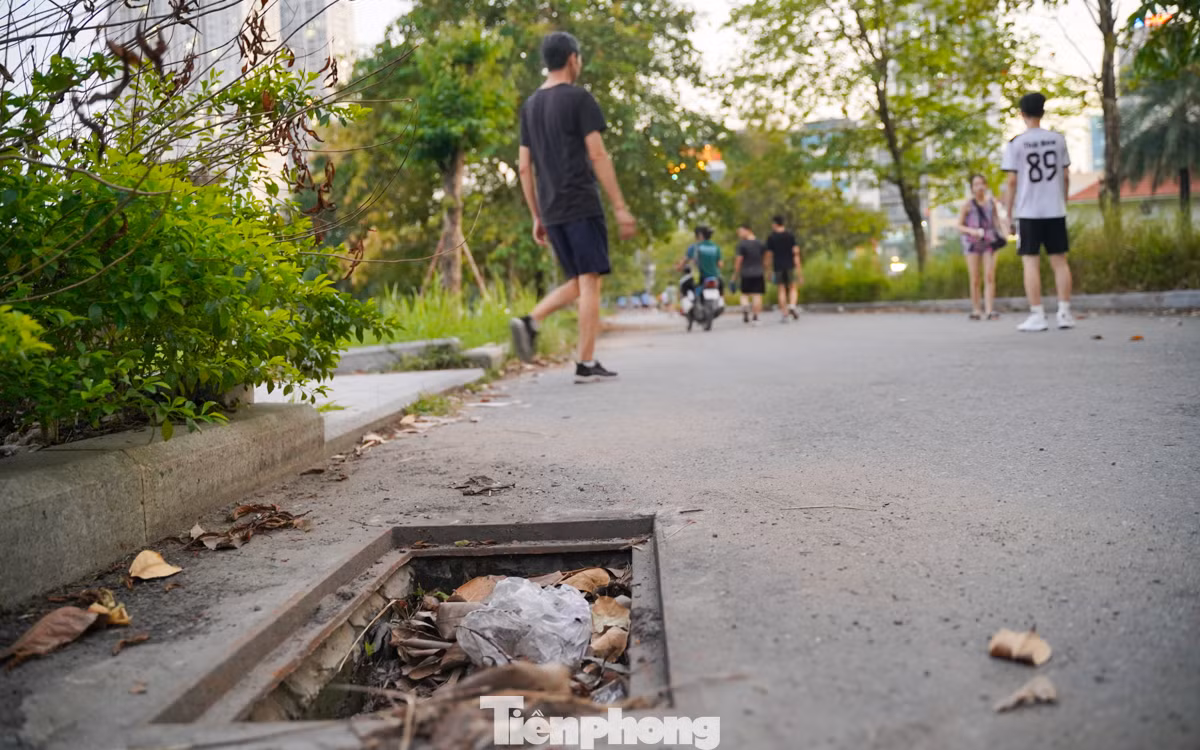 Một hố ga mất nắp nằm trong công viên.