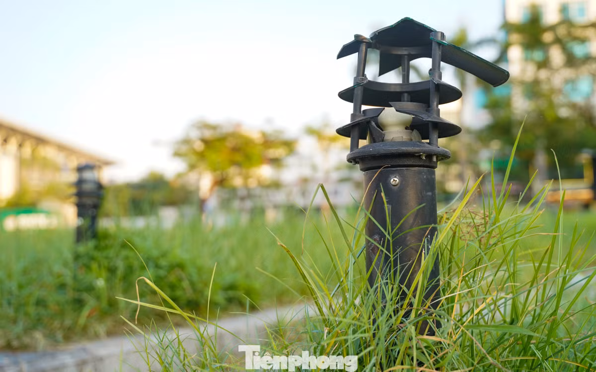 Hệ thống đèn lối đi tầm thấp đa số đã hư hỏng.