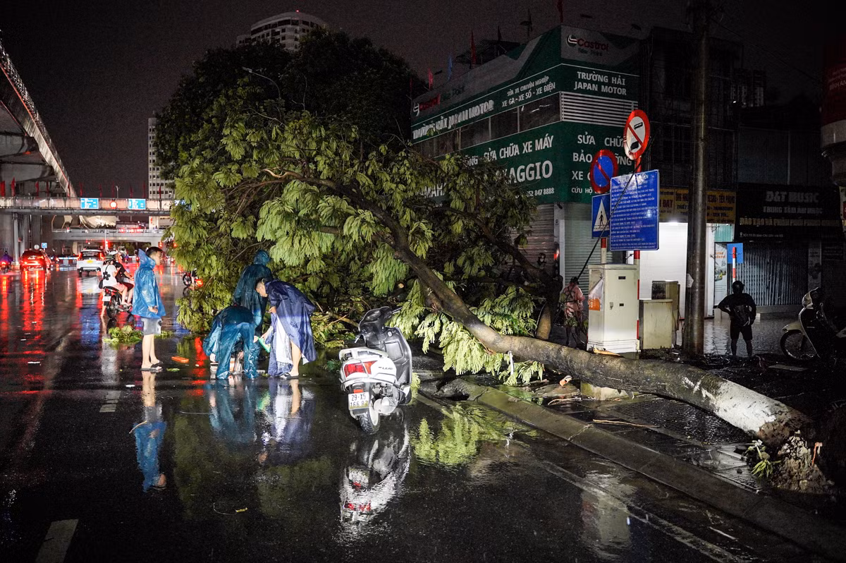 Cách đó chưa tới 50m, một cây xanh to cũng đổ. Cách đó chưa tới 50m, một cây xanh to cũng đổ.