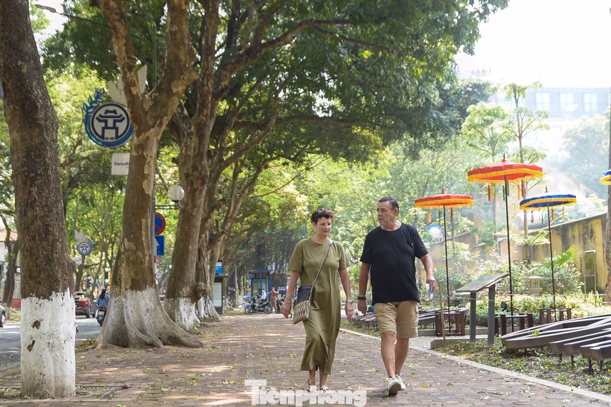 Phố Phan Đình Phùng xanh mướt lúc 12 giờ trưa, thời điểm nắng nóng trên 39 độ C.