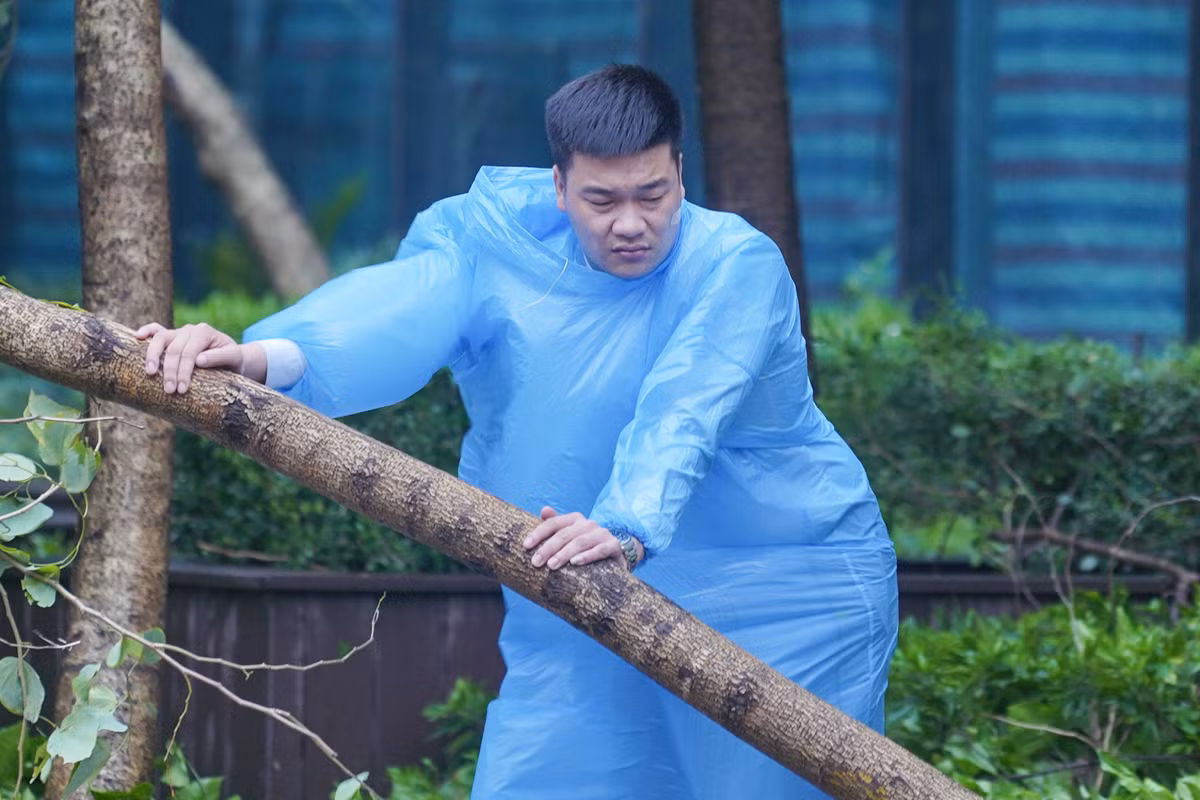 Sức gió chiều nay rất lớn.