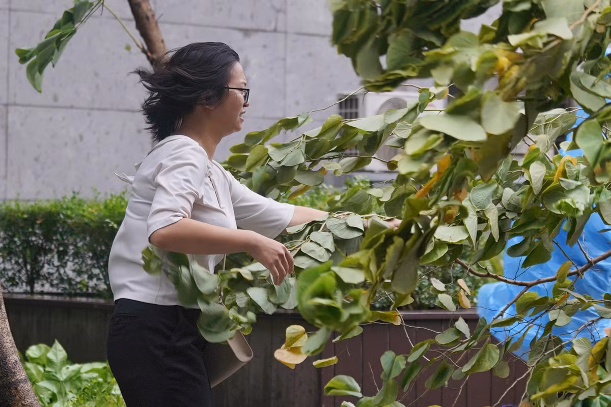 Sức gió chiều nay rất lớn.