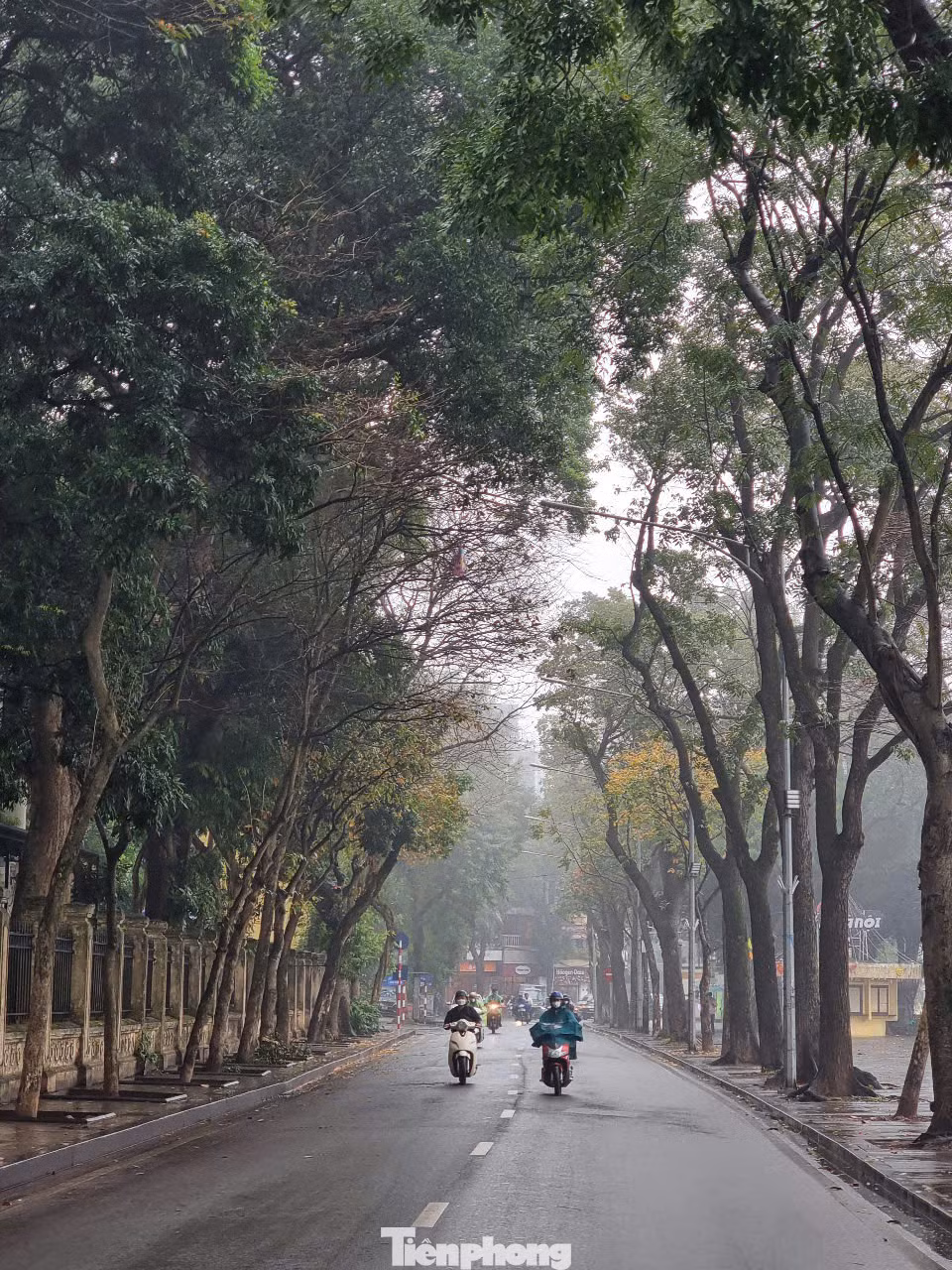 Cục Quản lý Môi trường y tế (Bộ Y tế) khuyến cáo, khi chỉ số chất lượng không khí ở mức xấu (AQI từ 150 đến 200) người dân hạn chế hoạt động ngoài trời hoặc tham gia các hoạt động vận động cần gắng sức.