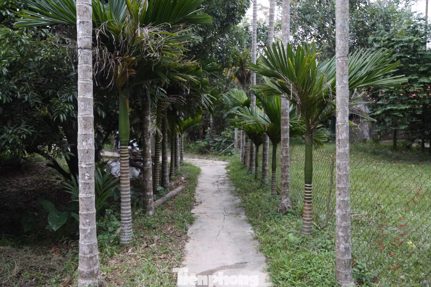 Vùng ven đê Hưng Lợi (xã Hưng Nguyên, Nghệ An) có 2 xứ làng là Giang Thủy (nay là xóm 6,7) và Cự Thôn (nay là xóm 1,2,3) còn lưu giữ nhiều nét mộc mạc thôn quê. Dù trải qua bao thăng trầm và biến động thời gian cảnh sắc, nếp sinh hoạt nơi đây vẫn còn mang đậm bản sắc văn hóa được bảo tồn từ thời cha ông.