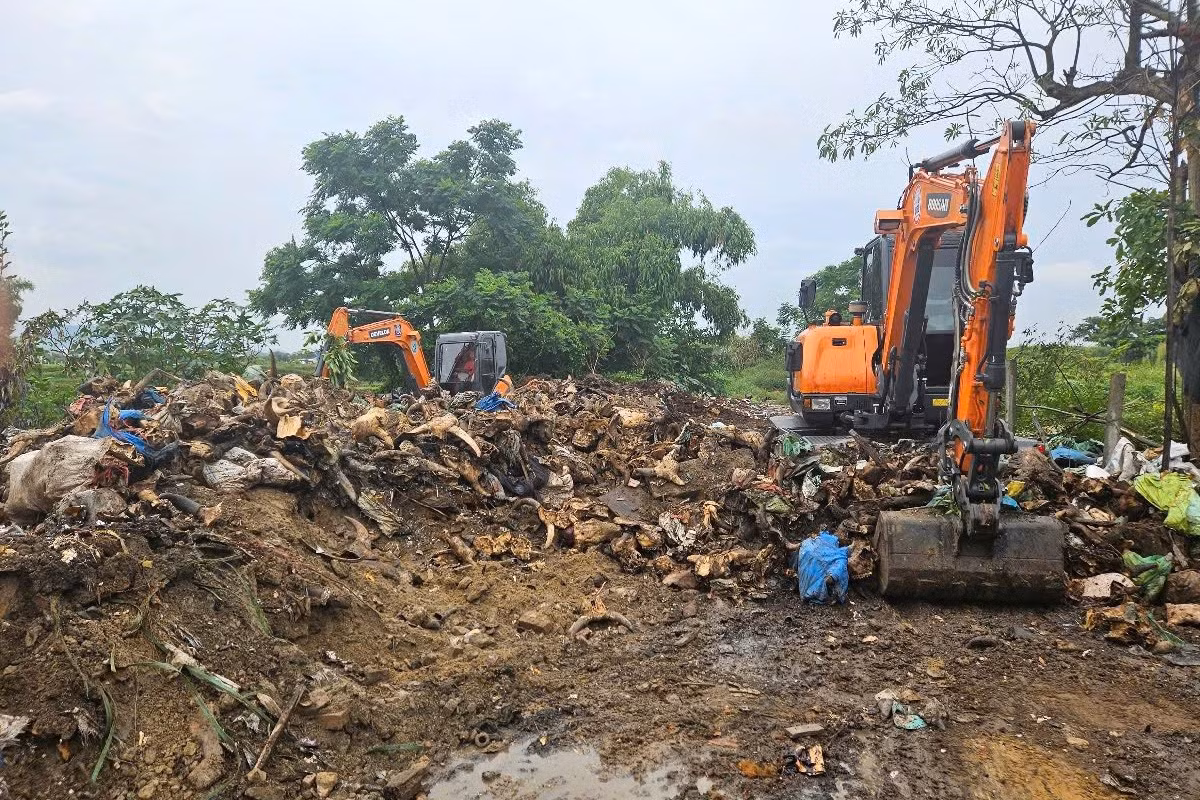 Nghĩa địa đầu bò ở phường Vinh Phú được thu dọn, chôn lấp