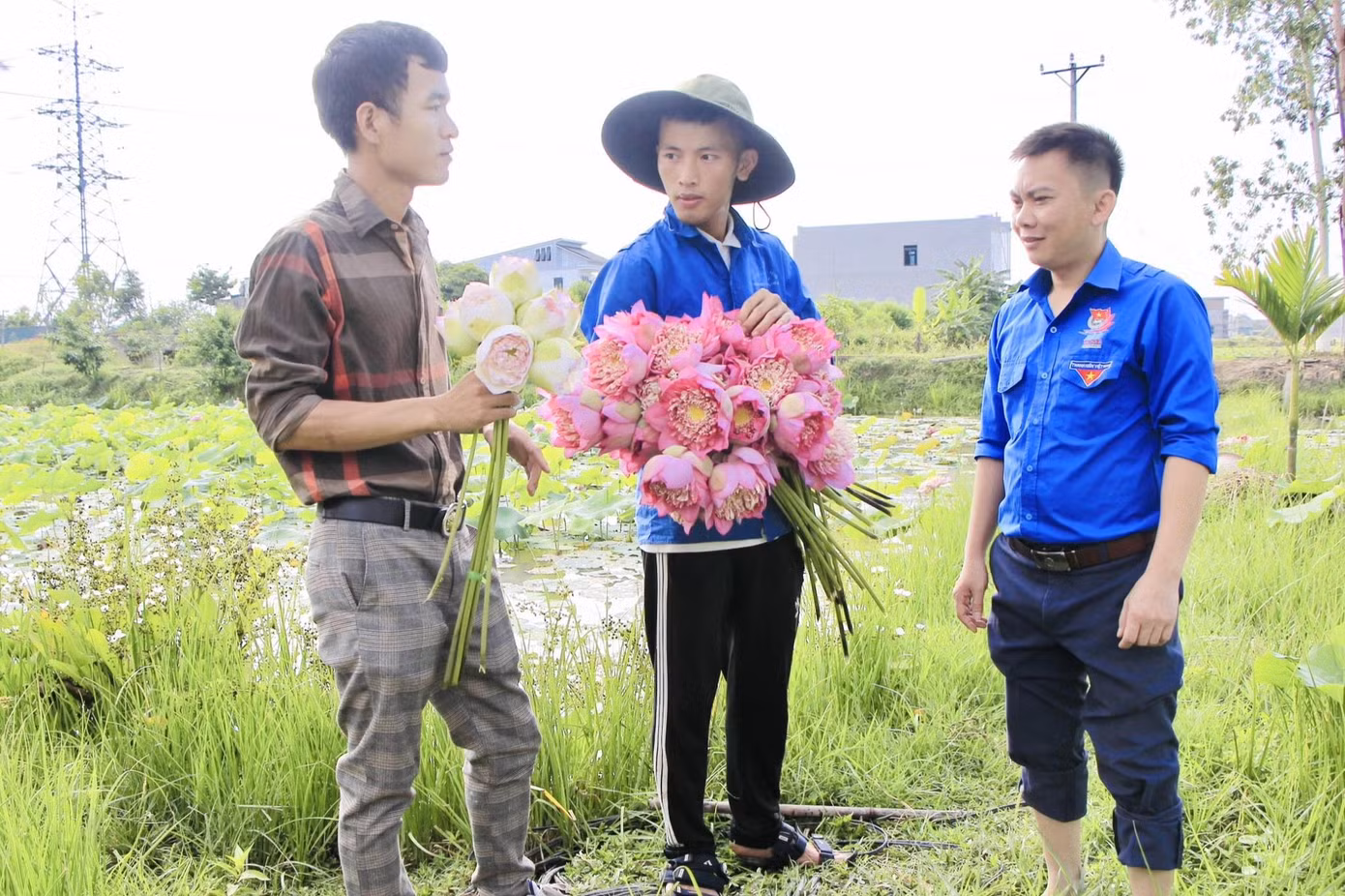 Nguyễn Văn Hòe (giữa) trao đổi kinh nghiệm trồng sen. Nguyễn Văn Hòe (giữa) trao đổi kinh nghiệm trồng sen.