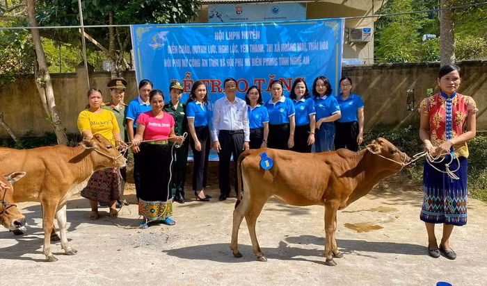 Trao tặng đàn bò sinh kế cho các hội viên hội phụ nữ trên địa bàn huyện Tương Dương Trao tặng đàn bò sinh kế cho các hội viên hội phụ nữ trên địa bàn huyện Tương Dương