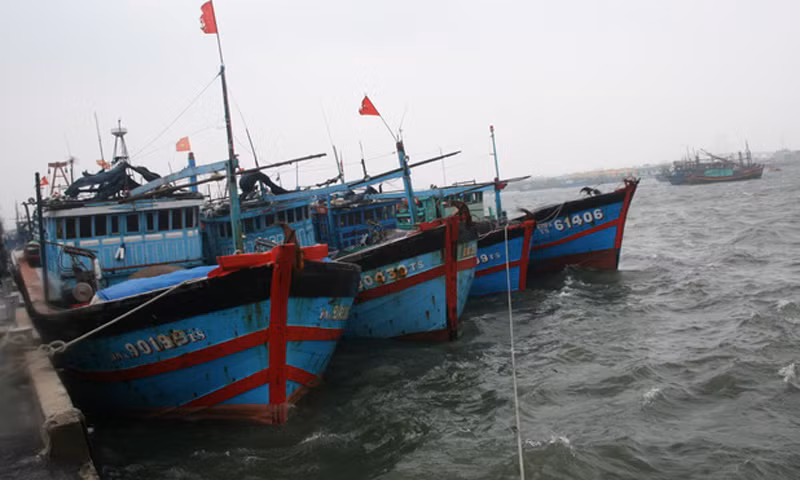 Thời tiết xấu khiến nhiều tàu cá của miền Trung gặp nạn trên biển. Trong ảnh: tàu cá Đà Nẵng vào bờ tránh bão - Ảnh: Đoàn Cường (Tuổi Trẻ). Thời tiết xấu khiến nhiều tàu cá của miền Trung gặp nạn trên biển. Trong ảnh: tàu cá Đà Nẵng vào bờ tránh bão - Ảnh: Đoàn Cường (Tuổi Trẻ)