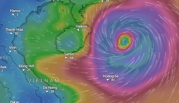 Mô hình GFS dự báo cho ngày 13/6: Vùng áp thấp trở thành bão trên Biển Đông. Ảnh: Windy, GFS.