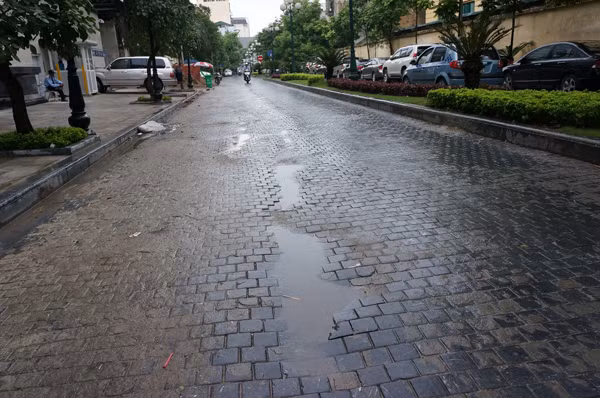 Toàn bộ con được được nát đá xanh
